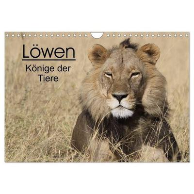 Löwen - Könige der Tiere (Wandkalender 2027 DIN A4 quer), CALVENDO Monatskalender