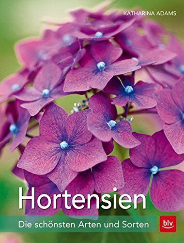 Katharina Adams - Hortensien: Die schönsten Arten und Sorten - Preis vom 13.10.2026 19:28:25 h