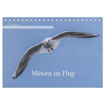 Aerorobaten - Möwen im Flug (Tischkalender 2026 DIN A5 quer), CALVENDO Monatskalender