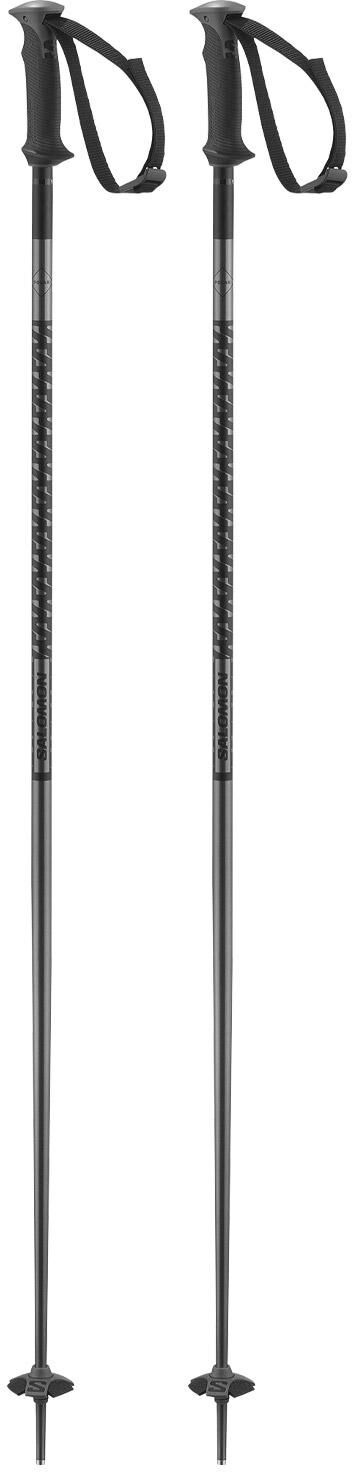 Salomon  - Polar Black - 120 - Bâton