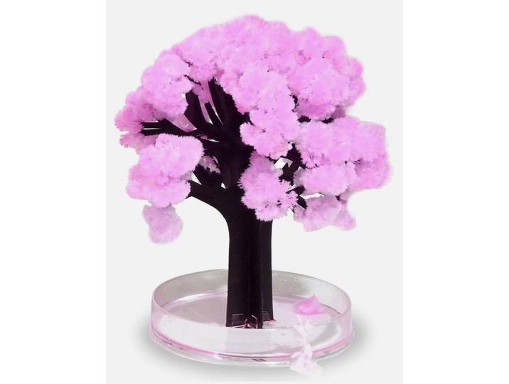 Magic Sakura