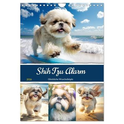 Shih Tzu Alarm. Glückliche Wuschelköpfe (Wandkalender 2026 DIN A4 hoch), CALVENDO Monatskalender