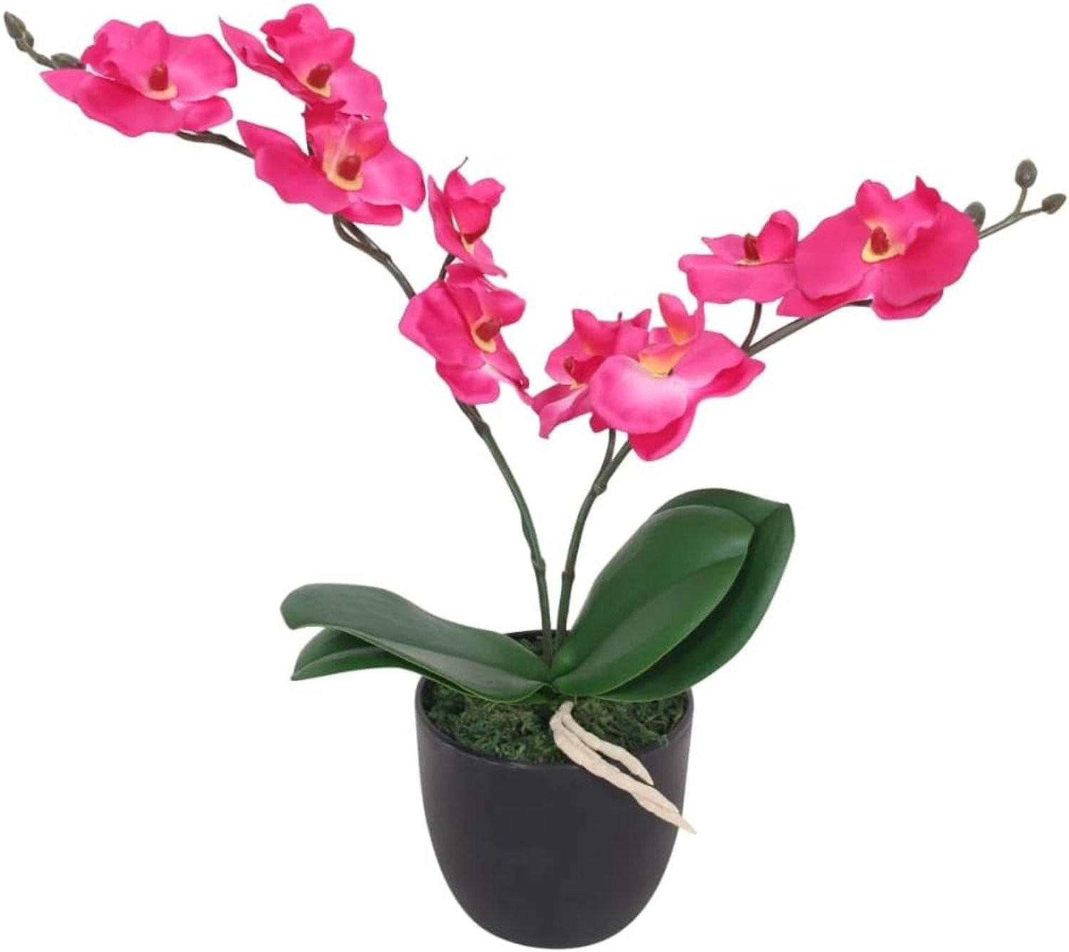 Vemera Kunstorchidee met rode pot, 30 cm