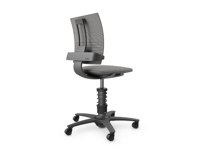 nv without armrests, Light grey/Black, New, Ergonomic chair - ideal for flexible working
