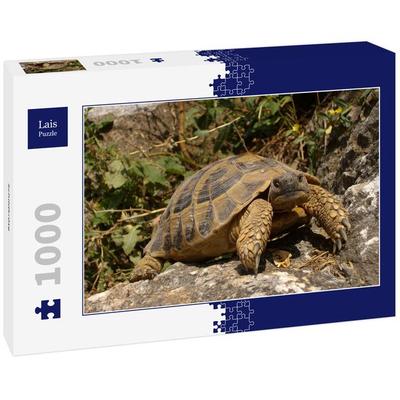 Lais Puzzle Schildkröte 1000 Teile