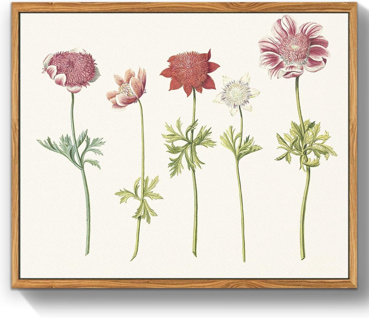 Set van Botanische Canvas Schilderijen met Windbloemen Illustraties