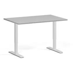 Höhenverstellbarer Schreibtisch, 2 Motoren, 74-121 cm, Tischplatte 120x80 cm, weißes Metallgestell, grau