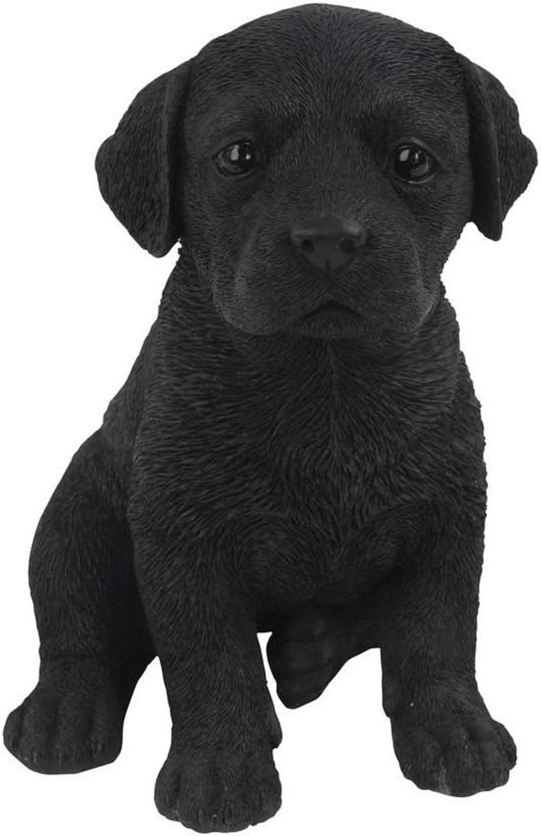 Zwart Hond Beeldje Puppy Decoratie van Hoogwaardig Resin