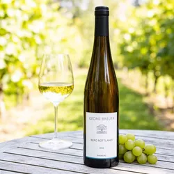 Weingut Georg Breuer 2022 Georg Breuer Berg Rottland Rheingau Riesling 2022 Riesling Deutschland