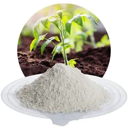 Zeolith-100 0-50 μm - 25 kg Sack