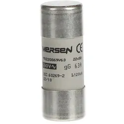 ABB E9F22GG63 Sicherung 22x58mm für E90/125 2CSM258213R1801