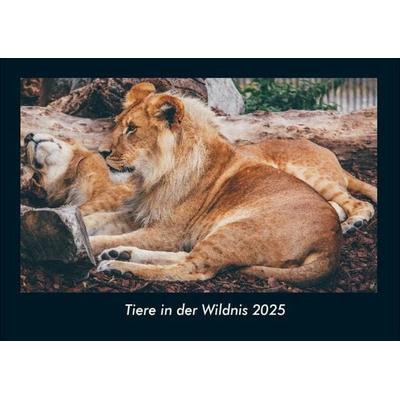 Tiere in der Wildnis 2025 Fotokalender DIN A4