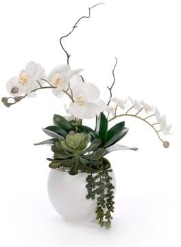 Jenny Silks Real Touch White Orchid Flower Arrangement in White Bowl