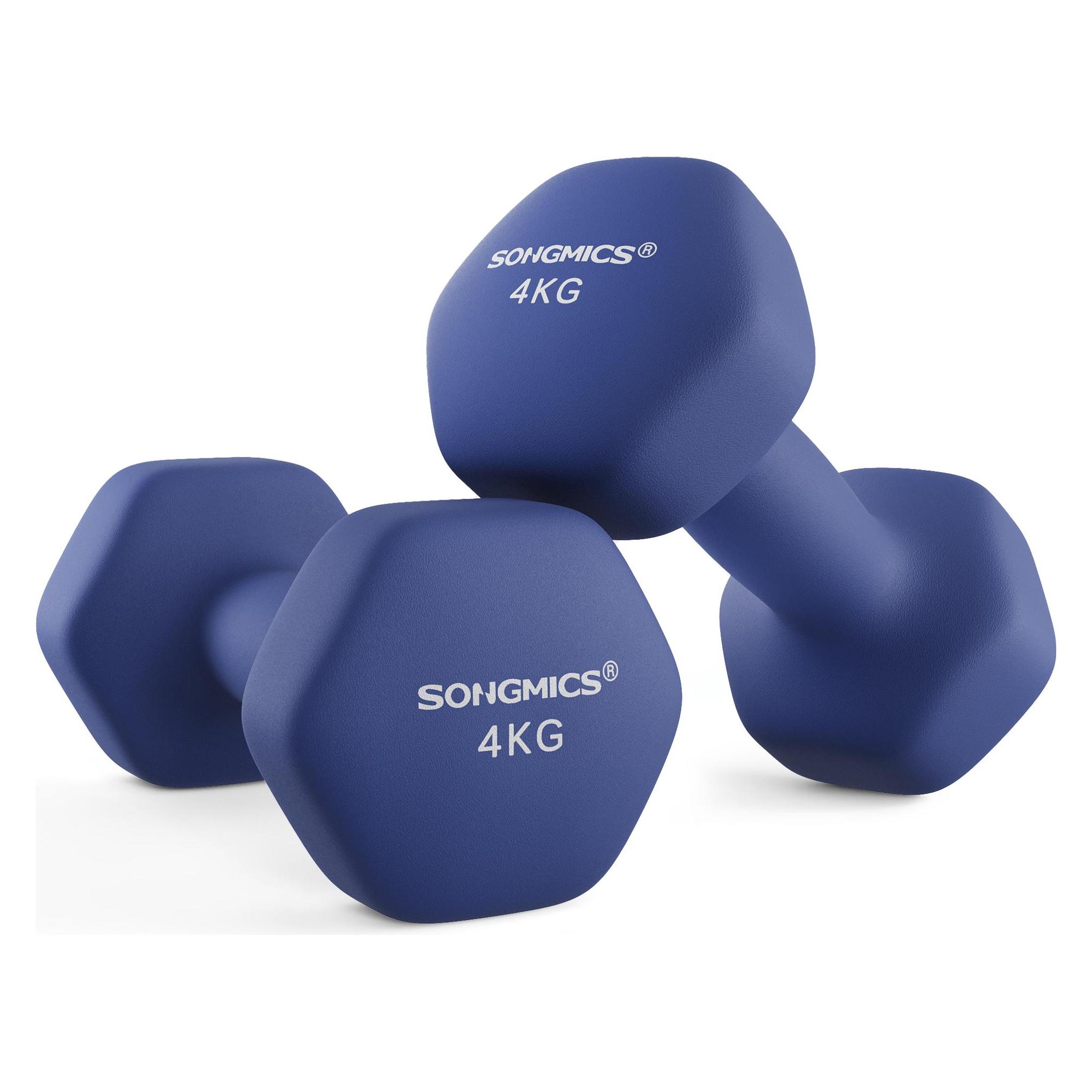 Songmics Heavy II (2 x 4 kg) (SYL908Q01)