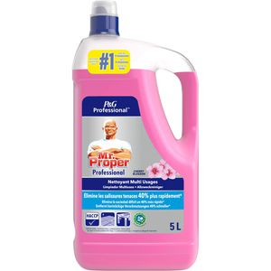 Meister-Proper Allzweckreiniger Professional, Cherry, Konzentrat, mit Kirschduft, Kanister 5 Liter