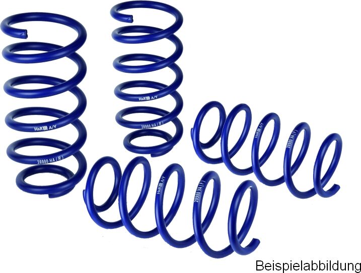 H&r Fahrwerksatz, Federn Sportfedersätze/performance Lowering Springs 29061-2