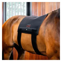 Horseware, Reitsattel
