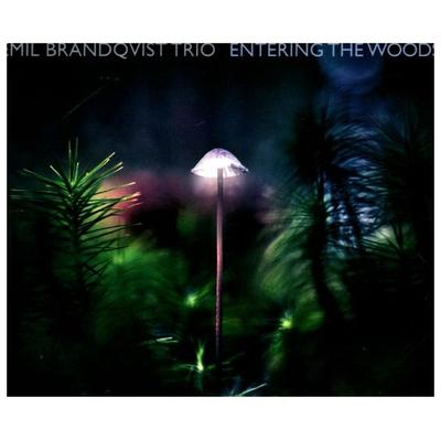 Entering The Woods (Digipak) - Emil Brandqvist Trio, CD, 4037688914929
