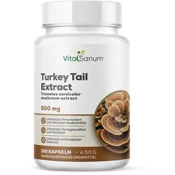 VitaSanum® Turkey Tail Extrakt 500 mg (Trametes versicolor) – 1 Kapsel Tagesportion