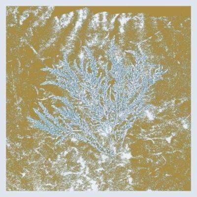 For Those Of You Who Have Never (2LP) - Huerco S., Vinyl
