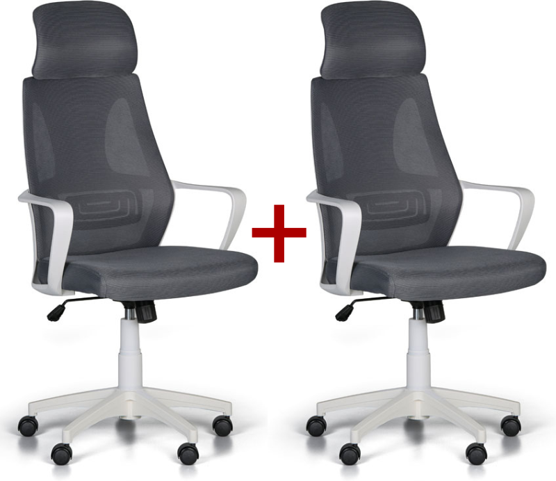 B2B Partner Bürostuhl FRESH 1+1 GRATIS, grau