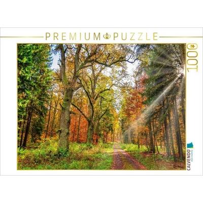 CALVENDO Puzzle Märchenhafter Wald mit knorrigen Eichen im Herbstlicht lädt zum Wandern ein, Hessen Deutschland | 1000 Teile Lege-Größe 64x48cm
