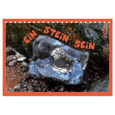 EIN STEIN SEIN (Tischkalender 2026 DIN A5 quer), CALVENDO Monatskalender