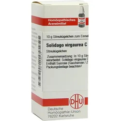 Solidago Virgaurea C200 10 G