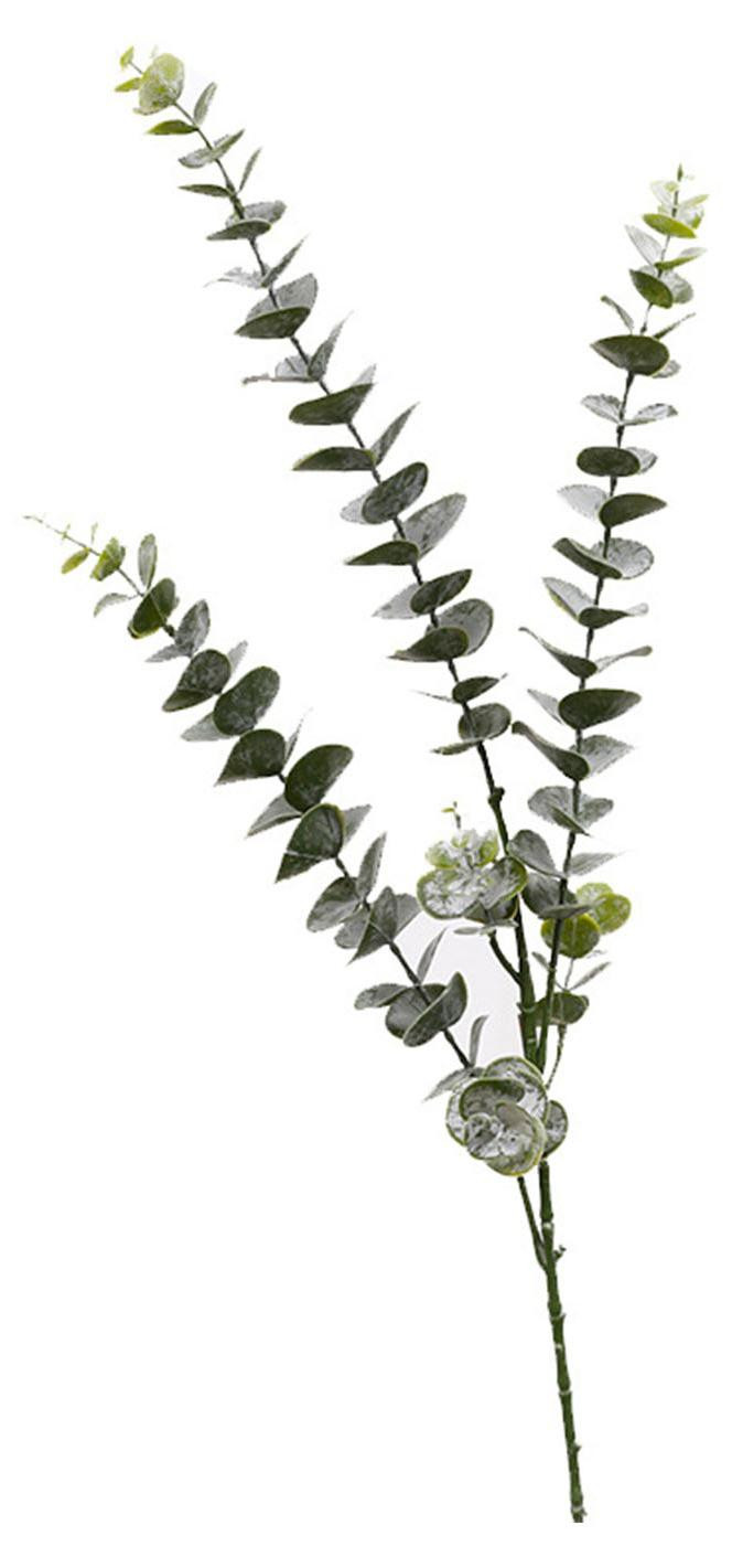 Gistuch Eucalyptusstengels decoratie 3 takken