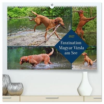Faszination Magyar Vizsla am See (hochwertiger Premium Wandkalender 2027 DIN A2 quer), Kunstdruck in Hochglanz