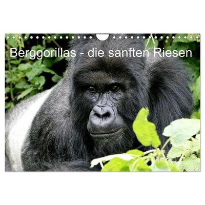 Berggorillas - die sanften Riesen (Wandkalender 2027 DIN A4 quer), CALVENDO Monatskalender
