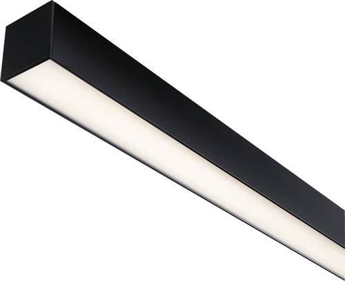 Paulmann 98168 Linion LED-Deckenleuchte LED 17W Schwarz