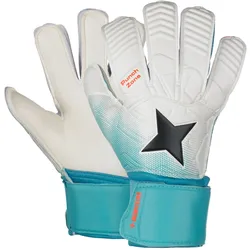 Derbystar, Torwarthandschuhe, (2)