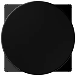 Jung Abdeckung A WC MAG SW