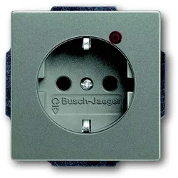 Busch-Jaeger Steckdosen-Einsatz 2310EUGL/VA-803-11 2CKA002011A3877