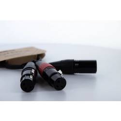 Cordial EY 0,3 MFF XLR Y-Adapter [1x XLR-Stecker 3 polig - 2x XLR-Buchse 3 polig] 0.30 m Schwarz 14881