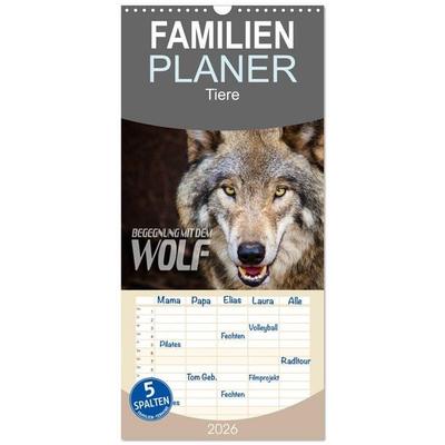 Familienplaner 2026 - Begegnung mit dem Wolf mit 5 Spalten (Wandkalender, 21 x 45 cm) CALVENDO