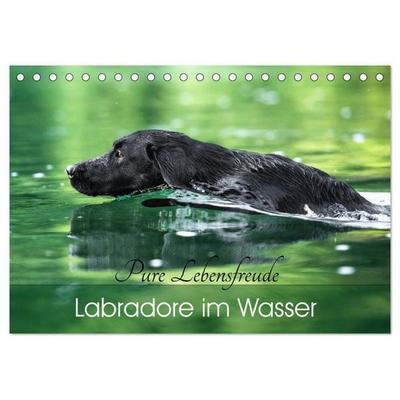 Labradore im Wasser (Tischkalender 2026 DIN A5 quer), CALVENDO Monatskalender