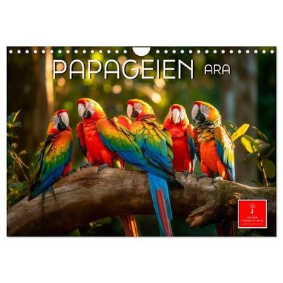 Papageien - Ara (Wandkalender 2027 DIN A4 quer), CALVENDO Monatskalender