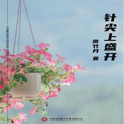 针尖上盛开 - 王璐, Audio, 4071498255957