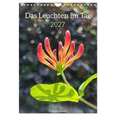 Das Leuchten im Tag (Wandkalender 2027 DIN A4 hoch), CALVENDO Monatskalender