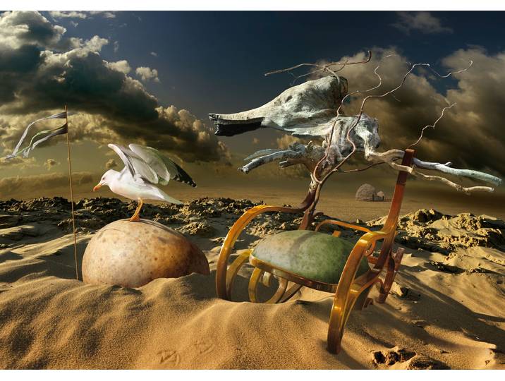 Fototapete PAPERMOON Photo-Art RADOSLAV PENCHEV, MÖVE IN DER WÜSTE , bunt, B:4,5m L:2,8m, Vlies, Tapeten, Fototapete