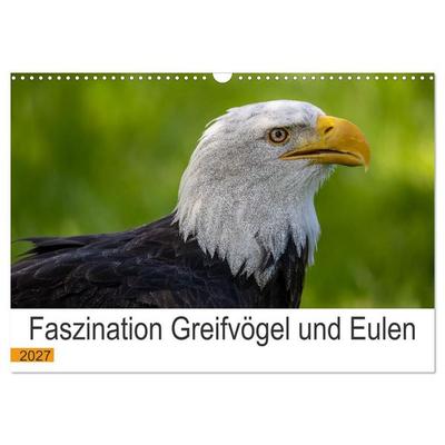 Faszination Greifvögel und Eulen (Wandkalender 2027 DIN A3 quer), CALVENDO Monatskalender