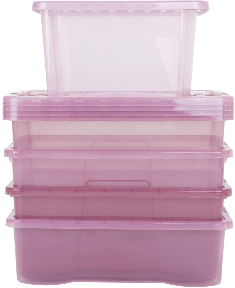 Wham Crystal 5 Piece Bundle Tint Dusky Orchid Pink 80L