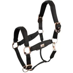 BR Equestrian Equipment, Halfter