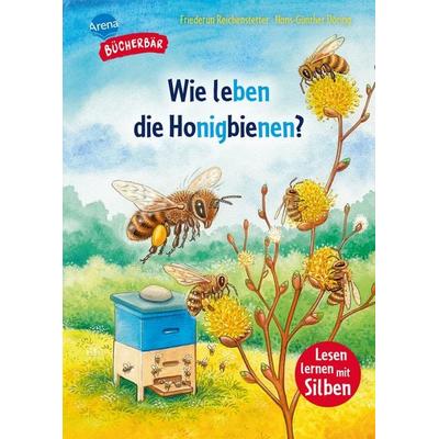 Wie leben die Honigbienen?, Gebundene Ausgabe von Friederun Reichenstetter, Arena, 978-3-401-72259-7