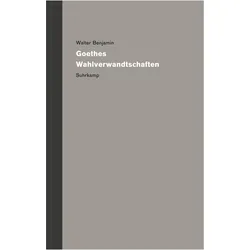 Werke und Nachlass. Kritische Gesamtausgabe, Fachbücher von Walter Benjamin