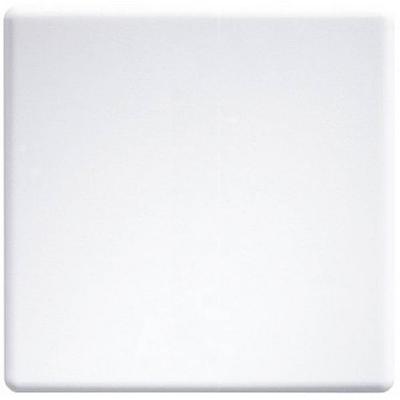 Eltako W-F2T55E-wg- Funk Tasterwippe