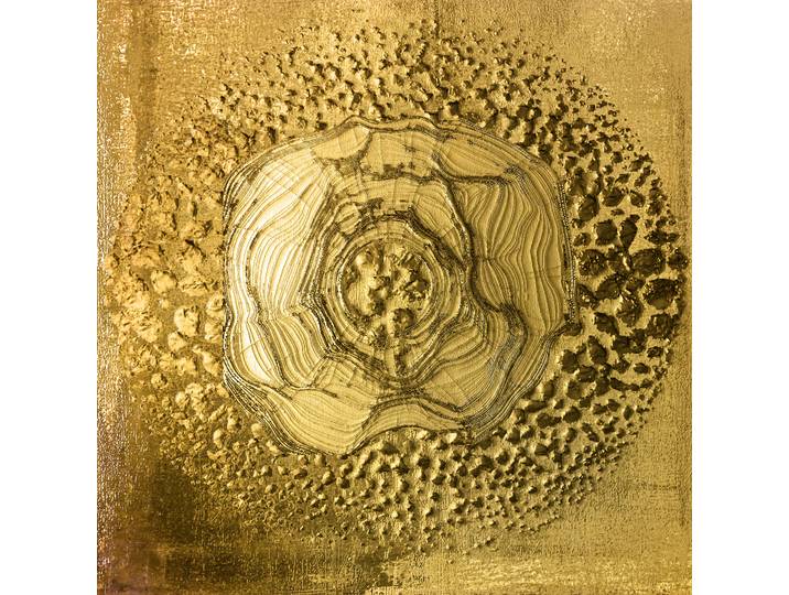 Gemälde QUEENCE Aluminium Bild Goldeffekt Abstrakte Rose , gold (farbe bild(er): gold,schwarz), B:60cm H:60cm T:0,4cm, Alu Dibond, Bilder, Gemälde, Alu Dibond mit gebürsteter Struktur für einen edlen Metall Effekt