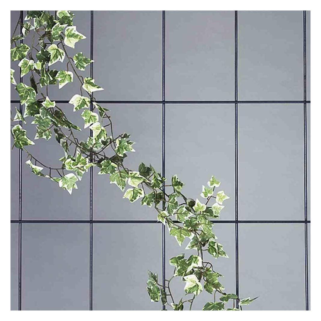 Siena Garden Spalier (150 cm, 75 cm) (169927)